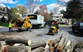 Best Commercial Tree Services  in Setauket, NY